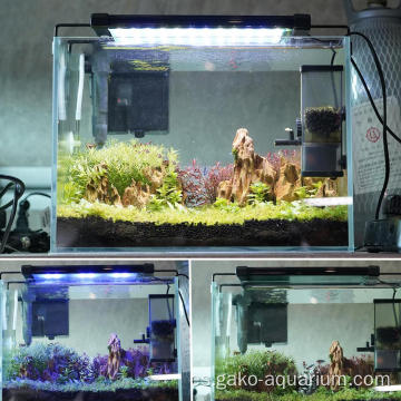 Iluminación de peces LED para acuario plantado